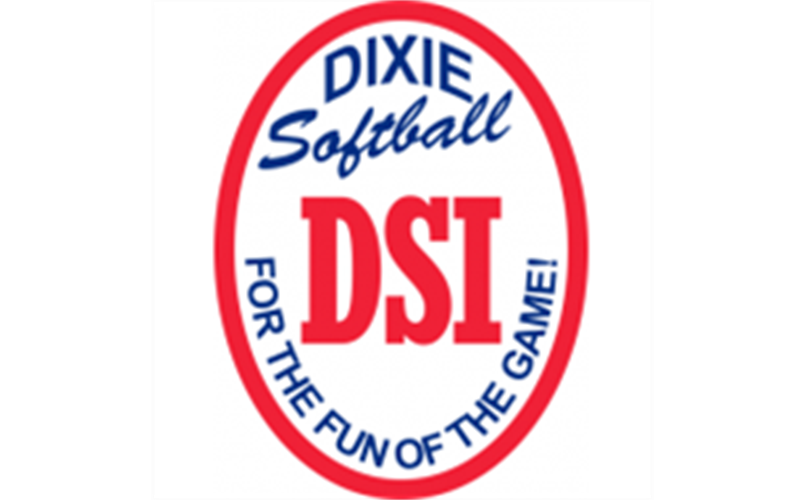 For the FUN or the GAME DIXIE SOFTBALL