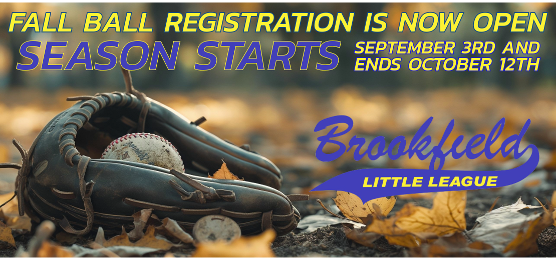 Fall Ball Registration ends August 16th