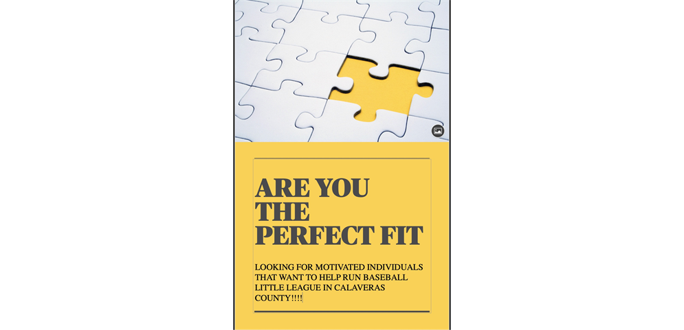 ARE YOU THE PERFECT FIT???