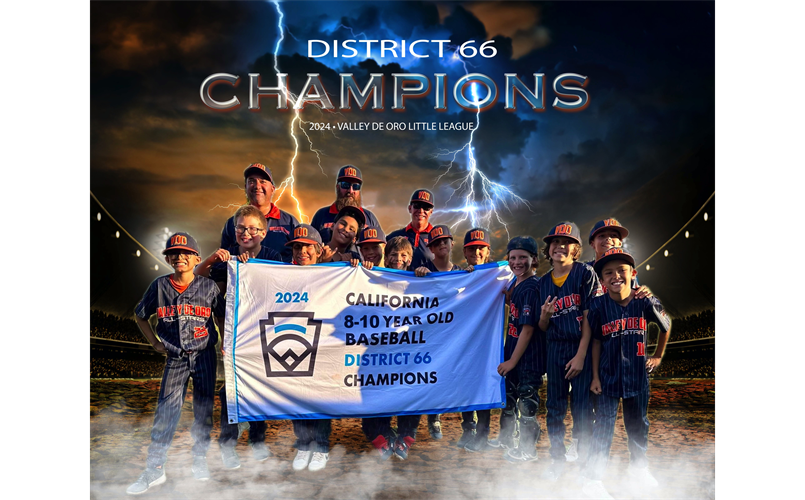 8-10 All Stars District 66 Champions