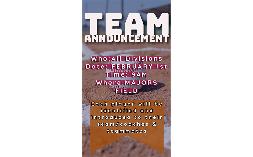 Team Annoucement