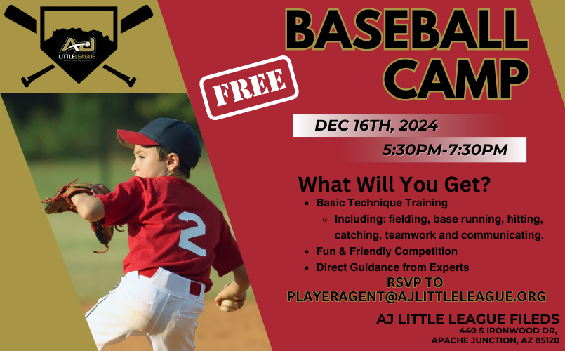 Baseball Camp 