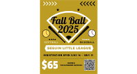 Fall Ball 2025 Registration Now Open