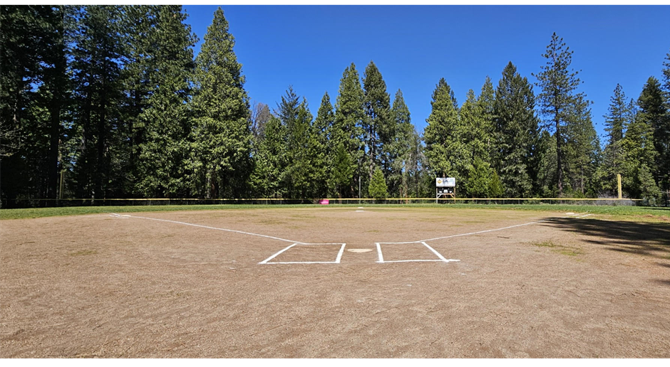 Forebay Field- Spring 2025