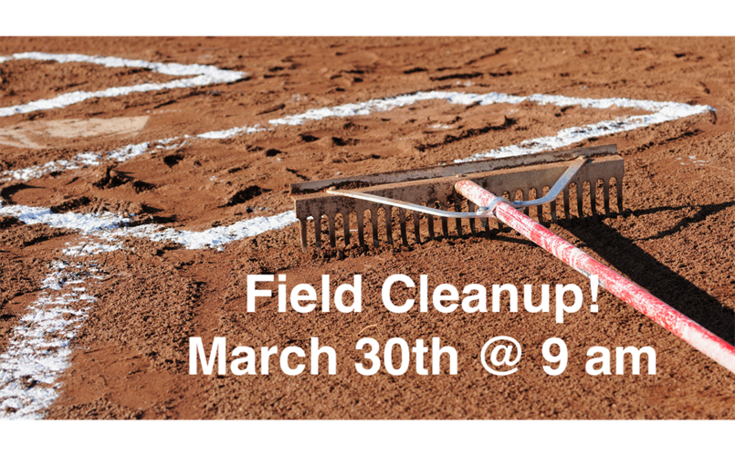 Spring Field Cleanup