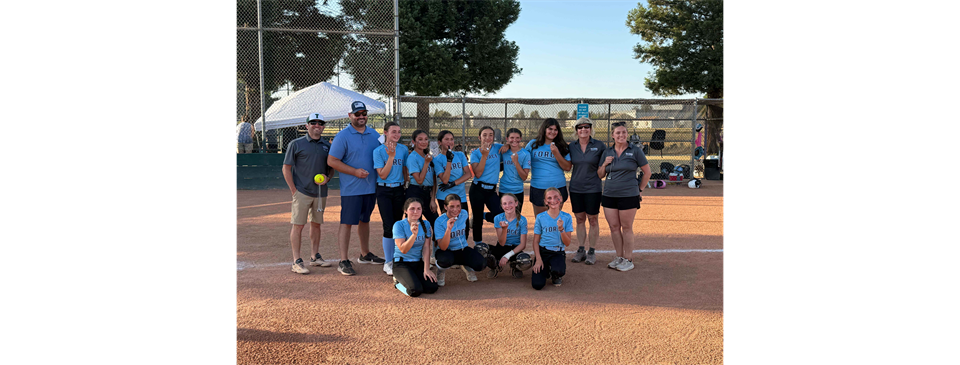 Congratulations Turlock National on their D73 TOC Win! 