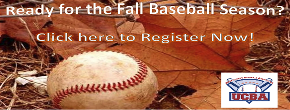 2023 Fall Baseball League
