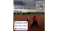 Junior Umpire Clinic