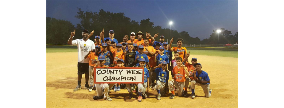 2016 Baseball Pictures