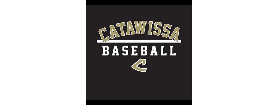 Welcome to the official site of the Catawissa Little League