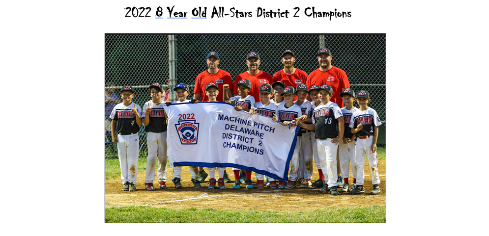 8 Year Old All-Star District 2 Champs!