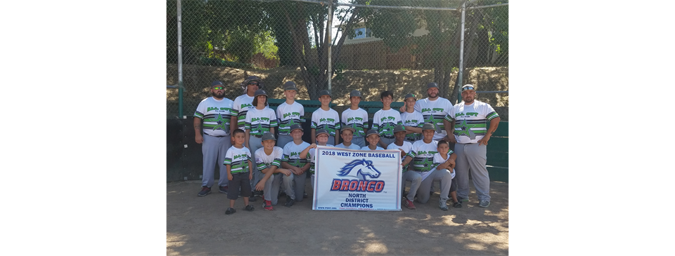 2018 All Star 12U North District Tournament