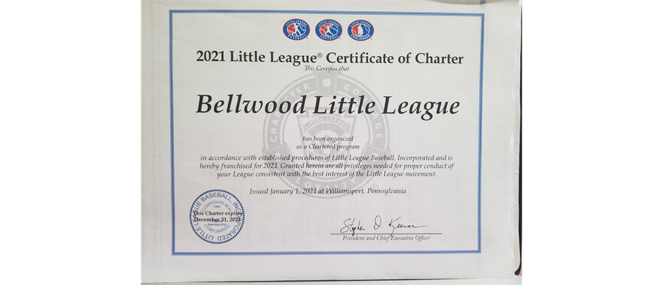 We are an official member of Little League