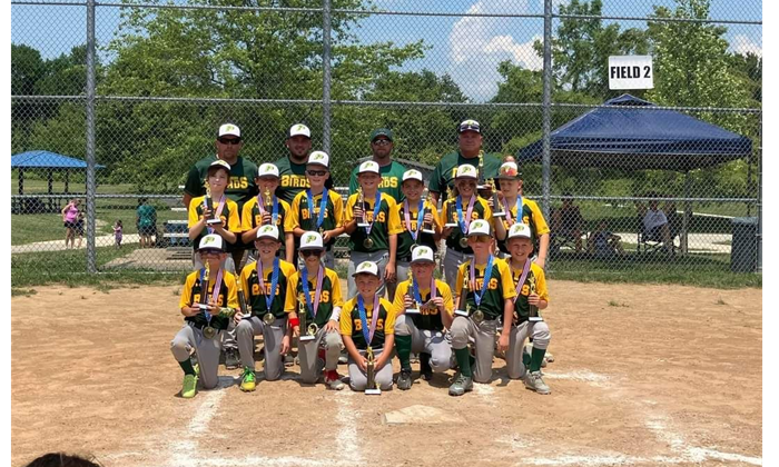 Brighton Birds - 2024 3rd Place Winner