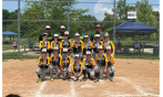 Brighton Birds - 2024 3rd Place Winner