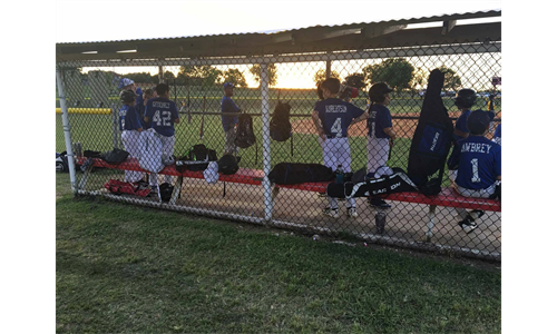 Baseball