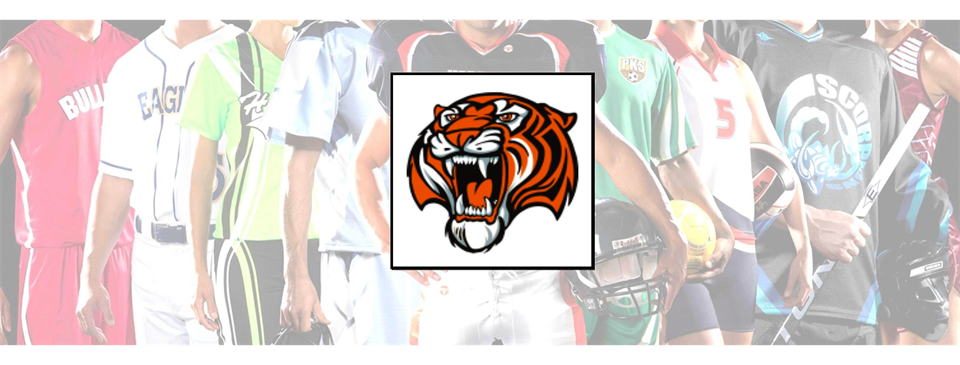 RS TIGERS YOUTH SPORTS