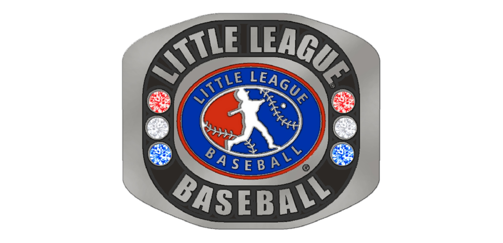 2019 World Series Pin - Little League Official Store