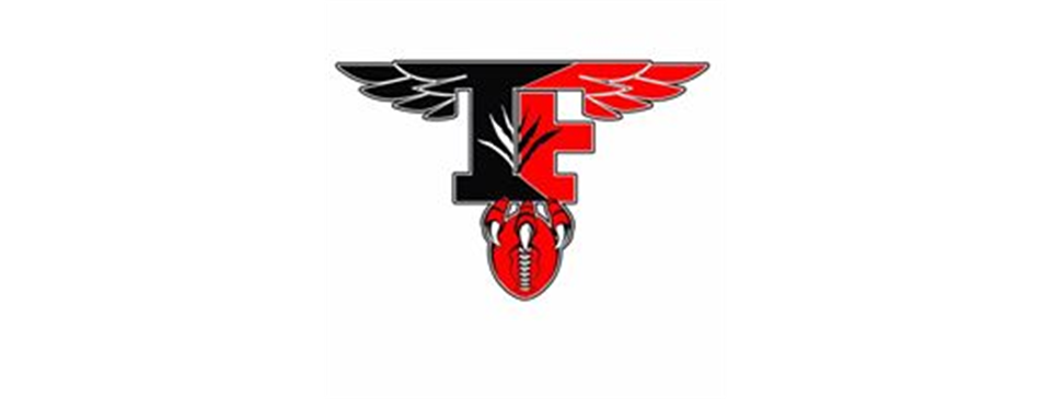 Soaring Eagles