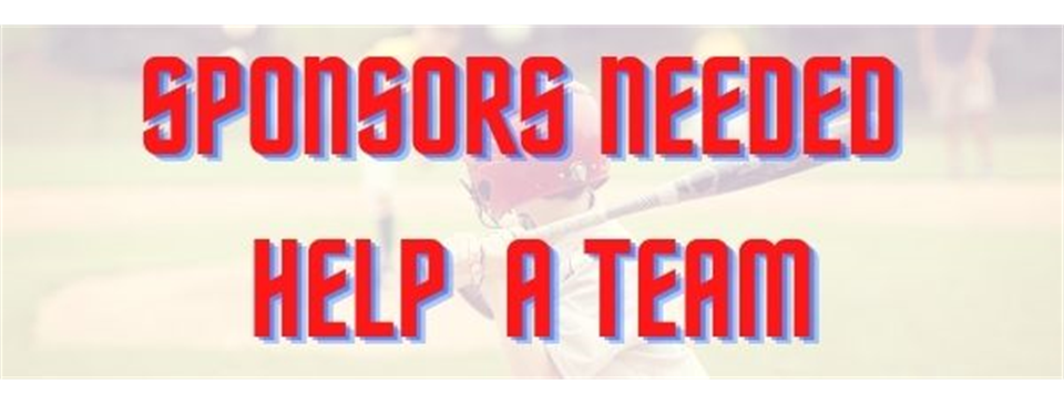 Sponsor  a Team