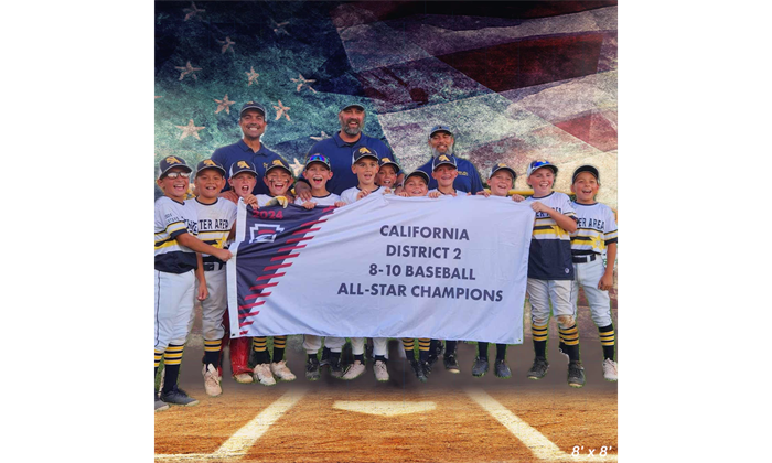 2024 8-10 Baseball AllStars