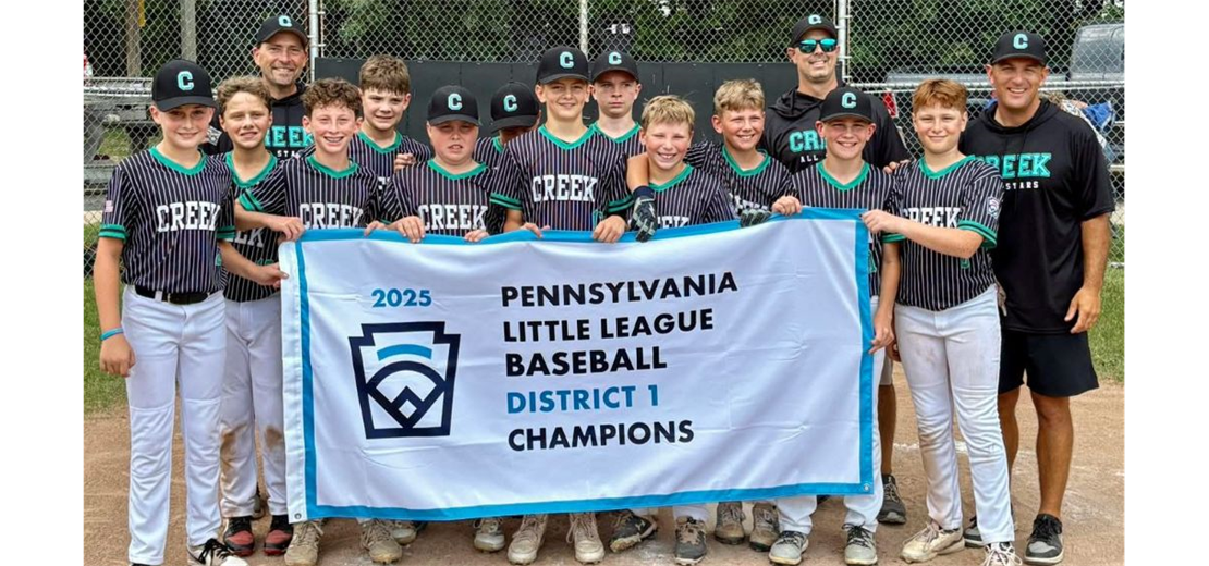 Little League Baseball Champions