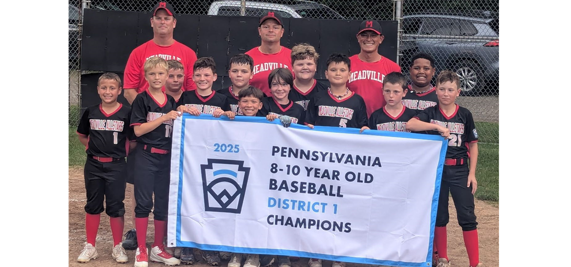 8 - 10 Year Old Baseball Champions