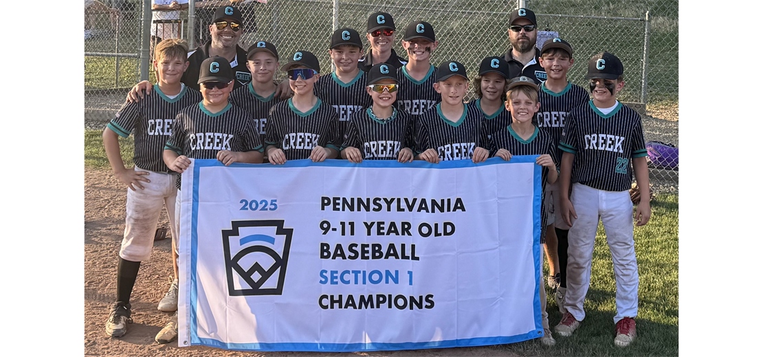 9-11 Year Old Baseball Section 1 Champions