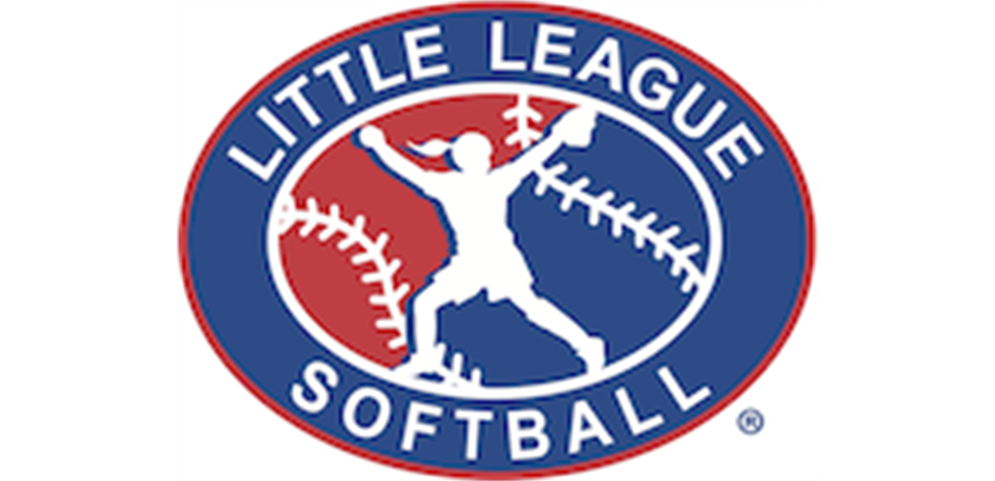 We offer a Softball Division