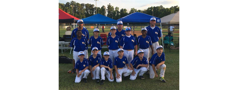 2017 Minor League Allstars