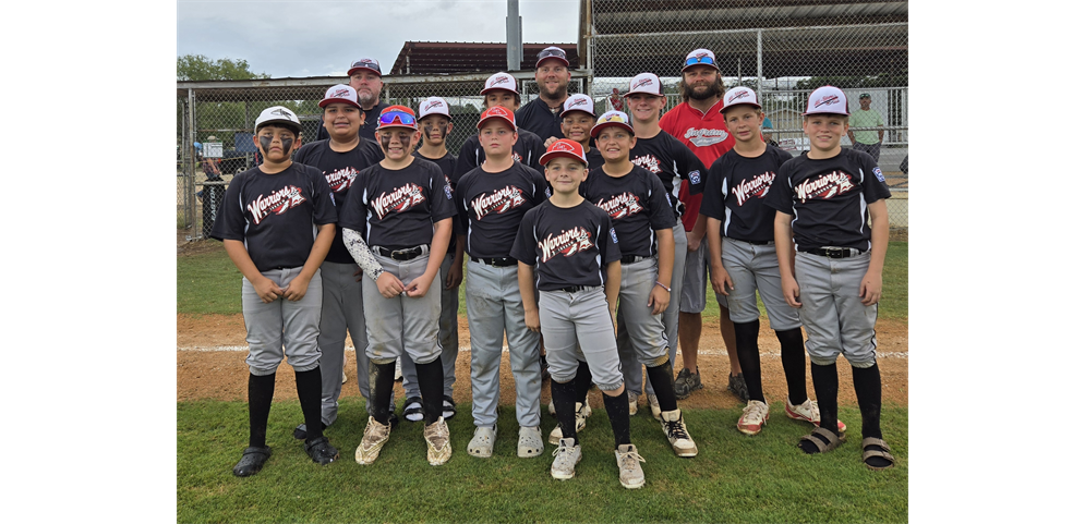 Ingram 50/70 Baseball Sect 3 Runner Ups