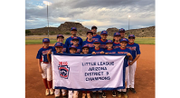 Little League Champs!
