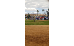  First Pitch