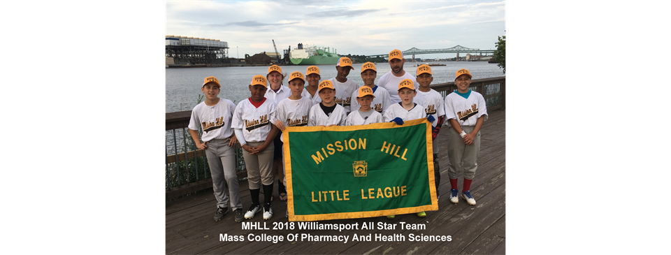 MHLL 2018 Williamsport All Star Team