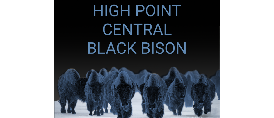 2023 New Branding: High Point Central Black Bison
