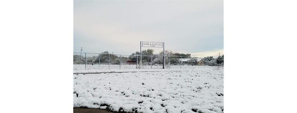 freer-little-league-home