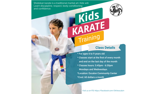 NEW- Kids Karate (Ages 6-9) 