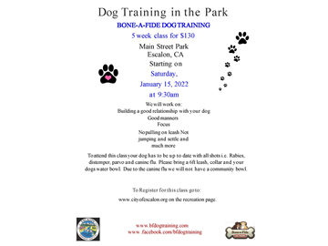 Dog Training in the Park - January 2022