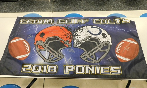 Colts Ponies Flag