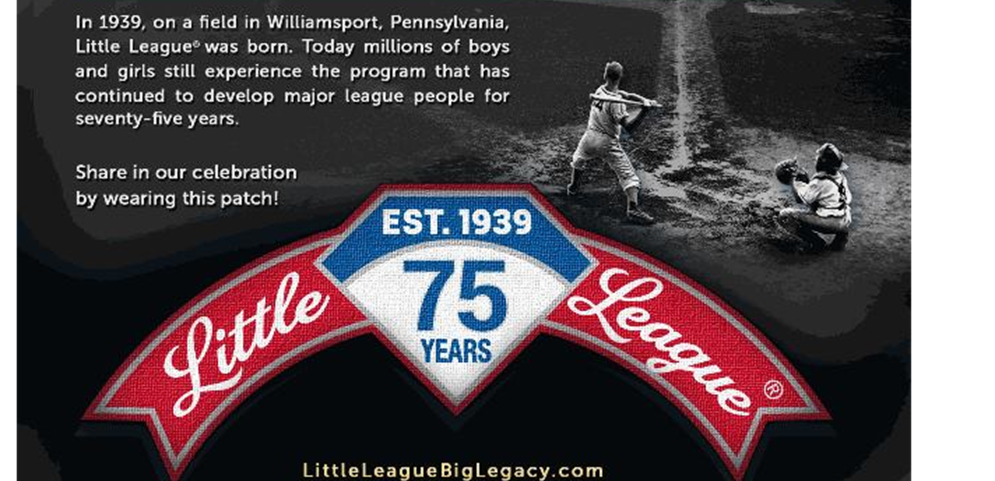 Little League Banner