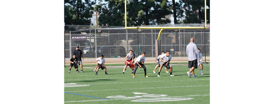 RSP Coaching