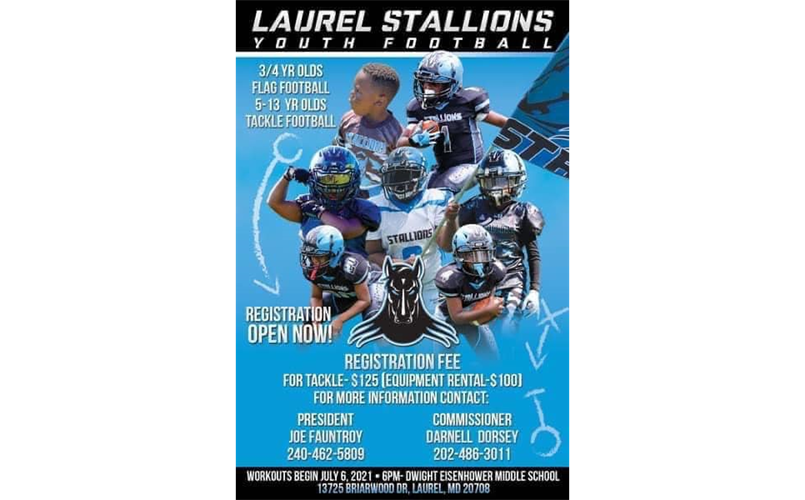 Laurel Stallions > Home