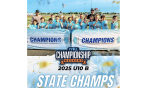 U10 wins Illinois Youth Lacrosse League State Championship!