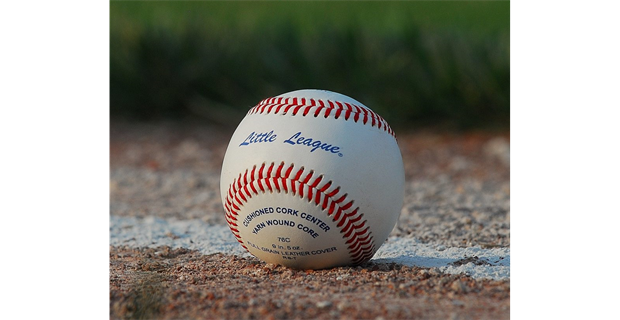   Baseball is life, the rest is just details.