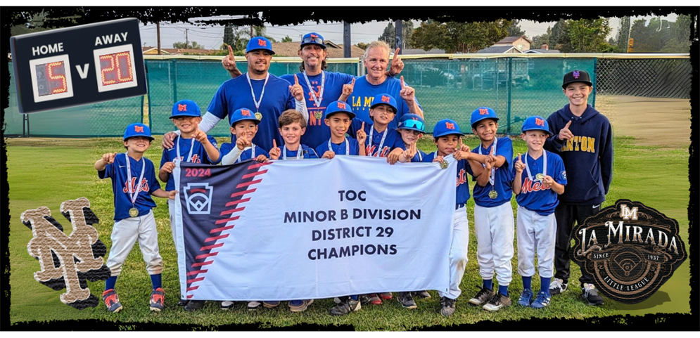 MINOR B METS - DISTRICT 29 CHAMPS!