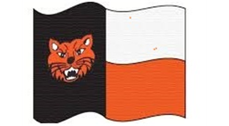 Pilot Point Youth Sports Association Baseball > Home