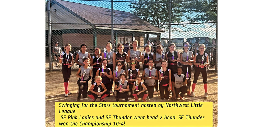 Softball Minor A Thunder- 1st place & Pink Ladies 2nd place