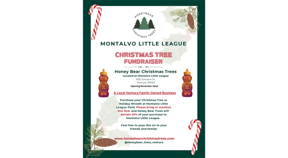 Christmas Tree Fundraiser