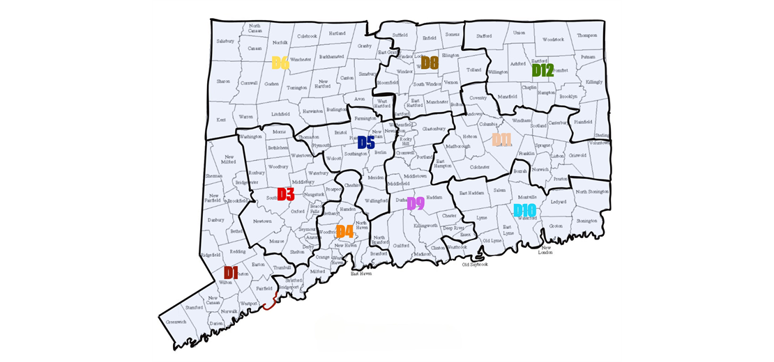 New State District Map
