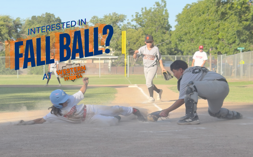 Interested in Fall Ball?